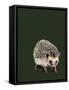 Kimchi the Hedgehog on Forest Green, 2020, (Pen and Ink)-Mike Davis-Framed Stretched Canvas