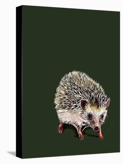 Kimchi the Hedgehog on Forest Green, 2020, (Pen and Ink)-Mike Davis-Stretched Canvas