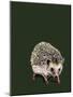 Kimchi the Hedgehog on Forest Green, 2020, (Pen and Ink)-Mike Davis-Mounted Giclee Print