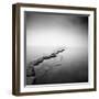 Kimmeridge-Lee Frost-Framed Giclee Print