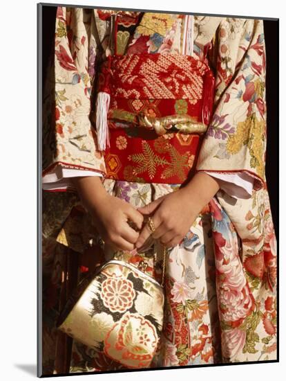Kimono and Handbag, Traditional Dress, Japan-null-Mounted Photographic Print