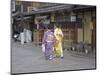 Kimono Beauty, Kyoto, Japan-Shin Terada-Mounted Photographic Print