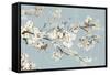 Kimono with Birds I-Asia Jensen-Framed Stretched Canvas