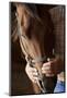 Kind Farmers Hands Holding Horses Head-Wollwerth Imagery-Mounted Photographic Print