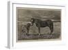 Kind Inquiries-Alfred Chantrey Corbould-Framed Giclee Print