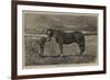 Kind Inquiries-Alfred Chantrey Corbould-Framed Giclee Print