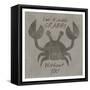 Kinda Crabby-Melody Hogan-Framed Stretched Canvas