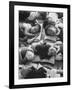 Kindergarten Students at the Yumin Chinese School Laying Head to Head During Nap Time-Howard Sochurek-Framed Photographic Print