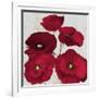 Kindle Poppies II-Lanie Loreth-Framed Art Print
