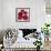 Kindle Poppies II-Lanie Loreth-Framed Art Print displayed on a wall