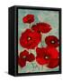 Kindle's Poppies I-Lanie Loreth-Framed Stretched Canvas