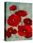 Kindle's Poppies I-Lanie Loreth-Stretched Canvas