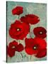 Kindle's Poppies I-Lanie Loreth-Stretched Canvas