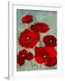 Kindle's Poppies I-Lanie Loreth-Framed Art Print