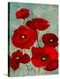 Kindle's Poppies I-Lanie Loreth-Stretched Canvas