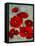 Kindle's Poppies I-Lanie Loreth-Framed Stretched Canvas