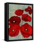 Kindle's Poppies II-Lanie Loreth-Framed Stretched Canvas