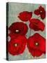Kindle's Poppies II-Lanie Loreth-Stretched Canvas