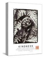 Kindness - Fiddlehead-Unknown Unknown-Stretched Canvas