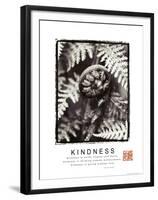 Kindness - Fiddlehead-Unknown Unknown-Framed Photo