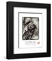 Kindness - Fiddlehead-Unknown Unknown-Framed Photo