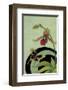 Kindred Spirits II-Sybil Shane-Framed Art Print