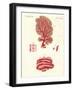 Kinds of Corals-null-Framed Giclee Print