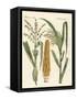 Kinds of Corns-null-Framed Stretched Canvas