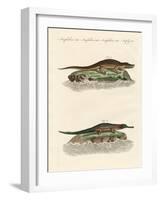 Kinds of Crocodiles-null-Framed Giclee Print