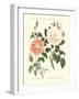 Kinds of Roses-null-Framed Giclee Print