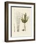 Kinds of Seaweed-null-Framed Giclee Print