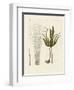 Kinds of Seaweed-null-Framed Giclee Print