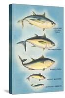 Kinds of Tuna Fish-null-Stretched Canvas