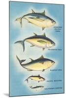 Kinds of Tuna Fish-null-Mounted Art Print