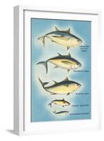 Kinds of Tuna Fish-null-Framed Art Print