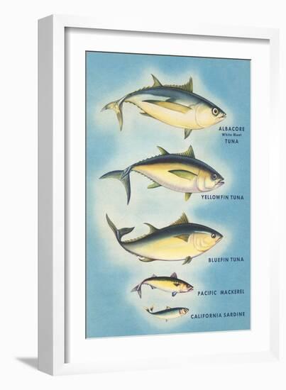 Kinds of Tuna Fish-null-Framed Art Print