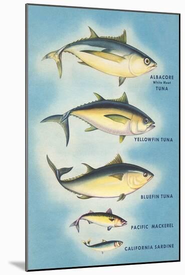 Kinds of Tuna Fish-null-Mounted Art Print