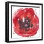 Kinetic Poppy II-Jennifer Goldberger-Framed Art Print