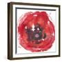 Kinetic Poppy II-Jennifer Goldberger-Framed Art Print