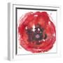 Kinetic Poppy II-Jennifer Goldberger-Framed Art Print