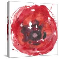 Kinetic Poppy II-Jennifer Goldberger-Stretched Canvas
