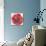 Kinetic Poppy II-Jennifer Goldberger-Stretched Canvas displayed on a wall