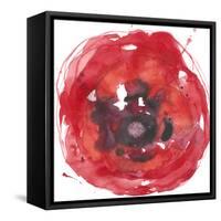 Kinetic Poppy II-Jennifer Goldberger-Framed Stretched Canvas