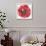 Kinetic Poppy II-Jennifer Goldberger-Framed Premium Giclee Print displayed on a wall