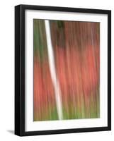 Kinetic Vermont 1802-Steven Maxx-Framed Photographic Print