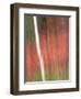 Kinetic Vermont 1802-Steven Maxx-Framed Premium Photographic Print