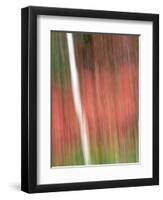 Kinetic Vermont 1802-Steven Maxx-Framed Premium Photographic Print