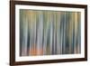 Kinetic VT 1803-Steven Maxx-Framed Photographic Print