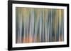 Kinetic VT 1803-Steven Maxx-Framed Photographic Print