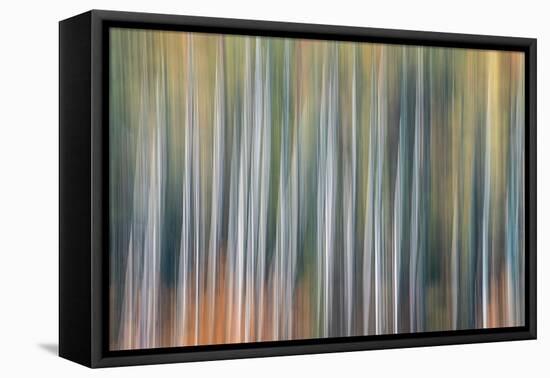 Kinetic VT 1803-Steven Maxx-Framed Stretched Canvas